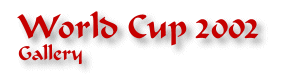 Gallery - World Cup 2002